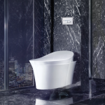 Seren-Bidet: KOHLER VEIL Integrated Bidet Toilet