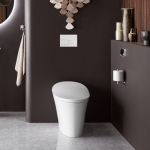 Seren-Bidet: KOHLER VEIL Integrated Bidet Toilet